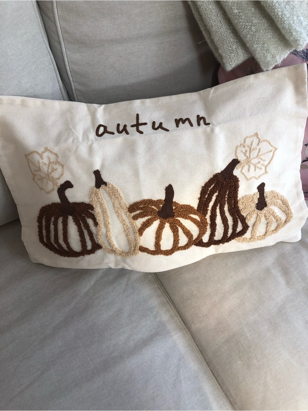 Autumn Embroidered Pumpkin Throw Pillow Cover…Neutral Brown